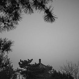 像素风动作类肉鸽游戏《空洞幸存者》现已在Steam平台免费推出第一章试玩